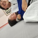 용인대정진유도교실 이미지
