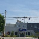 수레국화 꽃 이미지