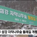 원주 ‘섬강 자작나무숲 둘레길’ 개통···4.5㎞ 규모 이미지