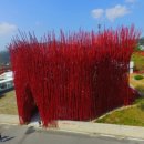 술샘짬뽕타운 이미지