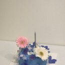 수케이크 이미지