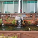 대하농장 이미지