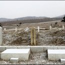 청파호