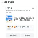 넬슨팜 | 시드니 근교 포트스테판 투어 내돈내산 후기(돌고래, 사막, 와인시음)