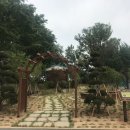 예산여자중학교 이미지