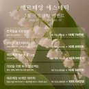 에르떼앙 에스테틱