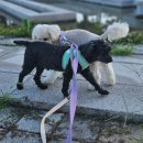 멍노리터 이미지