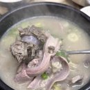 순대마을 | 아산 현지인 맛집 감꽃마을토종순대 내돈내산 허영만 다녀간 후기