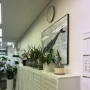 이호근사무소 이미지