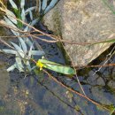 대청어린이집 이미지