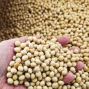 만수농장 이미지