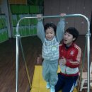 엑스포유치원 Daum카페