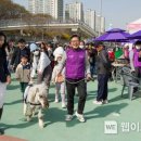 피우리 이미지