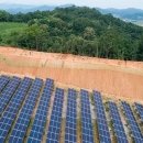 세기 태양광발전소 이미지