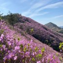 창원서부경찰서 이미지