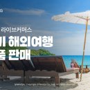 야놀자라이브 데일리한국