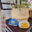 사자마트 - 부안군 | 사자마트