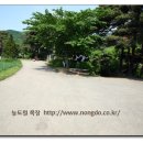 농도원목장 이미지