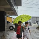 250605 &#34;이재명 대통령 당선 기뻐&#34;… 광주백반집 &#39;점심 공짜&#39; 이미지