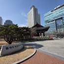 국채보상운동기념공원(國債報償運動記念公園)-매화가 피웠습니다. 이미지