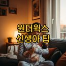 아이트리윅스(주) | 원더윅스 뜻과 시기 신생아 증상 정리