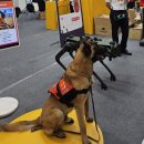 주식회사대찬 이미지