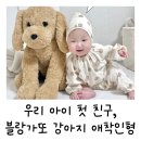강아지 친구 | {육아용품} 든든한 우리 아이 첫 친구, 블랑가또 강아지 애착인형 사용후기