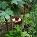 청양고추문화마을 이미지