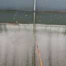 신당낚시터 이미지