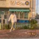 홍성 중담1공영주차장 | 홍성 남당항 대하축제 볼거리 먹거리 즐길거리 기간 가격 후기
