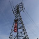 쌍용목재 이미지