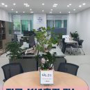 법무사이강훈사무소 이미지
