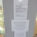 파주고양이미용 반하나캣 이미지