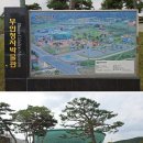 전북투어패스로 떠나는 부안 가볼만한곳 김제 여행