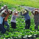 한농농자재 이미지