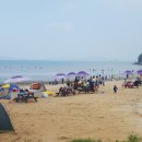 동막순대