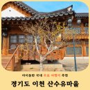 11590-가50-3 | 이천 산수유마을 개화율 50% 실시간 후기 주차 혼잡 포토존 위치 정리