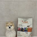 닥터독앤켓 | 부드러운 강아지사료 추천; 더독앤캣 닥터소프트비프
