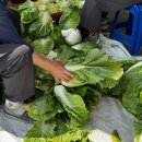 수진농장 이미지