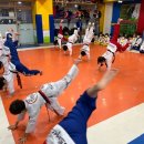 유림엘리트태권도 이미지