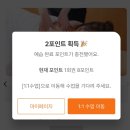 생활중국어(여행중국어 포함) | 생활중국어 랭디로 공부하기