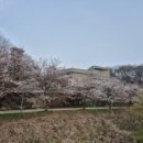 청개구리과일집 - 수원시 장안구 광교산로 132 | 청개구리과일집