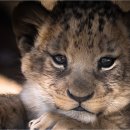 부암농장 이미지