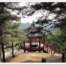 내성천(회룡포 전망대) tour 이미지