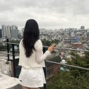 다라 | 대구미용실 에이치쿤스트 교동 본점 다라 디자이너 레이어드컷 + 매직 후기