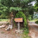 밤나무계곡민박 이미지