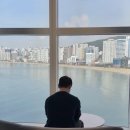 더오션 | 애견동반 가능한 가성비 광안리호텔 오션더포인트 조식 후기