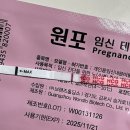🗒️임신기록 #1 / 인공수정 실패 후 자연임신 성공..! (배란12일차~22일차까지 원포 진하기) + 해외여행...