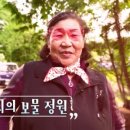 영희의 정원 이미지
