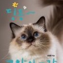 딩동 로고